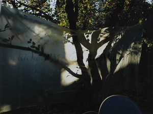 Image description is not available for 2011.053